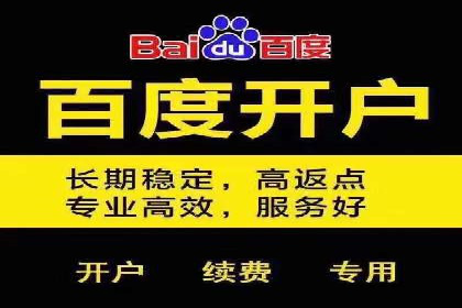百度广告投放技巧及效果评估案例